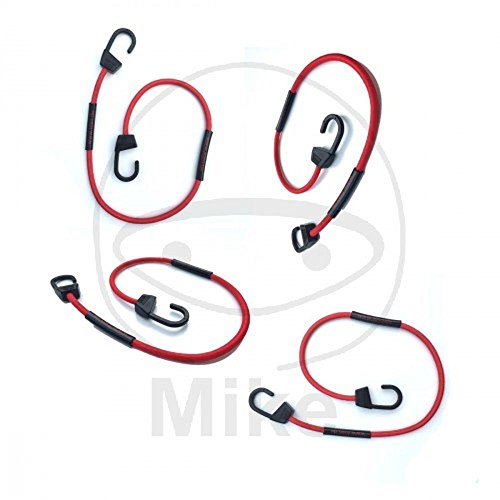 Toso elastica cinghia tfp0280cm 8mm + ganci Set