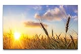Die Ränder der Bilder werden standardmäßig in den Motivfarben bedruckt, so dass ein extra Bilderrahmen nicht erforderlich ist. Unsere Bilder werden mit pigmentbasierten Tinten gedruckt und bieten ein fantastisches Farbergebnis mit hohen Kontrasten. Überzeugen Sie sich selbst! Alle Bilder werden fertig aufgespannt auf Holzrahmen an die Kunden geliefert, so dass Sie keinen zusätzlichen Rahmen oder andere Spannvorrichtungen benötigen