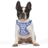The Dodo Dog Harness, Blue Dodo Print, Size Small: Easy Step-in Harness for Dogs; Breathable Mesh Fabric; Snap-Together, Pinch Release Buckle, Ring for Leash Attachment; Everyday Pet Apparel