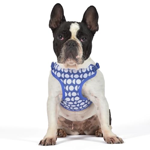 The Dodo Dog Harness, Blue Dodo Print, Size Small: Easy Step-in Harness for Dogs; Breathable Mesh Fabric; Snap-Together, Pinch Release Buckle, Ring for Leash Attachment; Everyday Pet Apparel