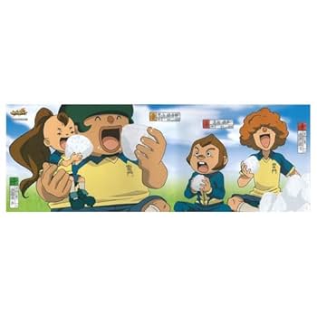 壁山っちょさん専用 壁山っちょさん専用 Amazon.co.jp: イナズマイレブン TCG 壁山