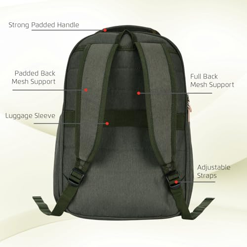 Image of Safari Dart 2 24L College backpack, 2 compartments, 17 inch laptop compatible, Smart trolley sleeve, Front pocket, college backpack bags for women and men, travel bag, Ideal for Students, Color - Olive