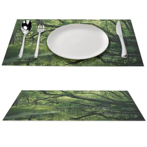 Set de table PVC tressé résistant lot de 4 An Ancient Swamp 45x30cm - 2