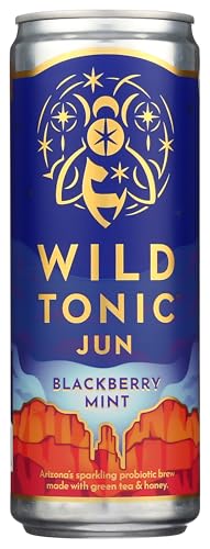 WILD TONIC Organic Blackberry Mint Kombucha, 12 FZ