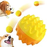 Squeaky Dog Ball Toy for Aggressive Chewers - Dental Dog Toy for Healthy Teeth & Gums - Spiky Ball Durable Floatable Rubber Pet Toys - Mental Enrichment - All Breed Sizes