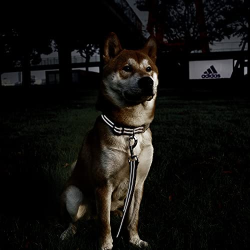Pawhuggies Reflective Dog Collar For Large Dogs Mesh Padded Large Dog Collar, Adjustable Pet Collar With Quick Release Buckle, Durable Breathable &Fade Resistant-Fruit Green #TOP7