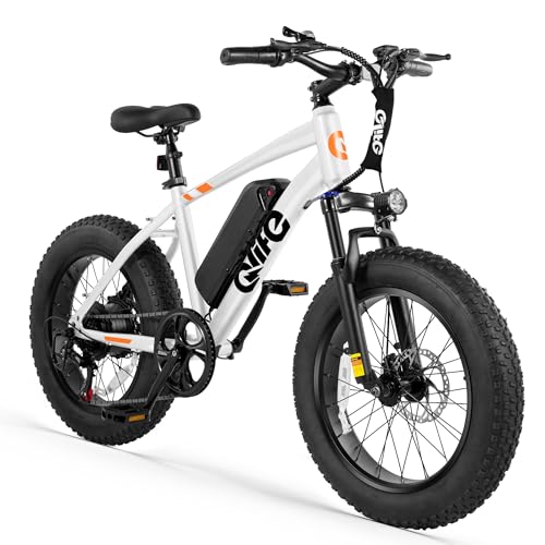 Qlife Racer Fat Tire Series Electric Bike for Adults, 20+MPH,