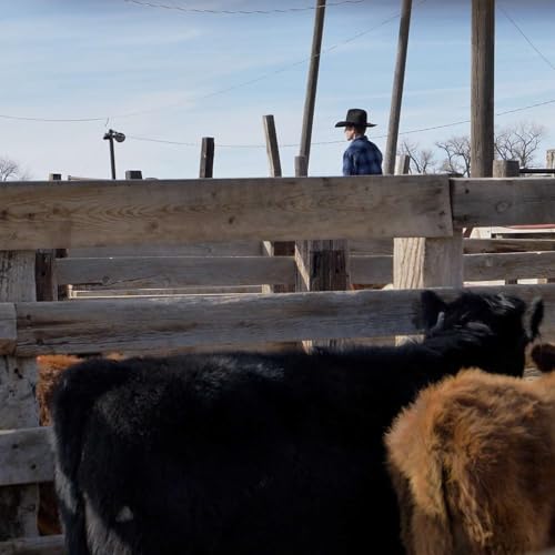 A Pillar of Montezuma County Agriculture