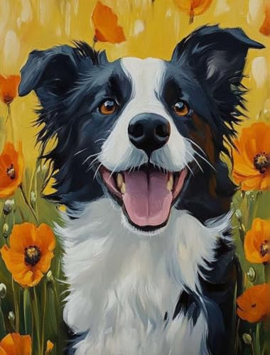 Kit de pintura por números de Border Collie de 40x50 cm para adultos principiantes