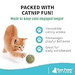 Raw Paws Catnip Balls for Cats, (6-Count) - Interactive Cat Toy for Indoor Cats - Cat Nip Licking Balls - Image 4