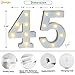 Pooqla Decorative LED Light Up Number Letters, White Plastic Marquee Number Lights Sign for 45th Birthday Party Wedding Decor, Battery Operated (45)