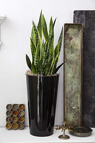 Miniatura 3 de The HC Companies Maceta redonda alta en cascada de 23 pulgadas de alto para exteriores, maceta ligera con autorriego, color negro brillante