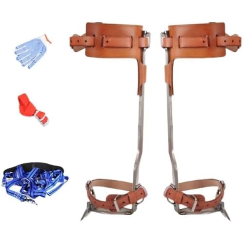 Angoda ؓo  ؓoXpCN C oRC XeX| vxg ȊwfUC ߉\Xgbv[v C~߃y_ h~ ω׏d gpȒP oRp ؍  ώ@ (V[gxg3,{)