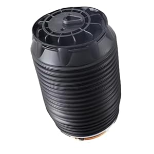 DZWDY Luftfeder Hinten für Equus Genesis Centennial