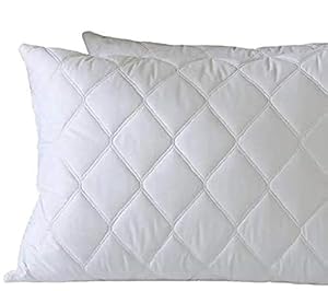 Dream Homme Ultrasoft Luxury Quilted Pillow Set of 2 for Sleeping | 100% Organic Cotton Fabric with Premium Cloud Microfiber Filling (Moon White, 17x27 Inches, Pack of 2)