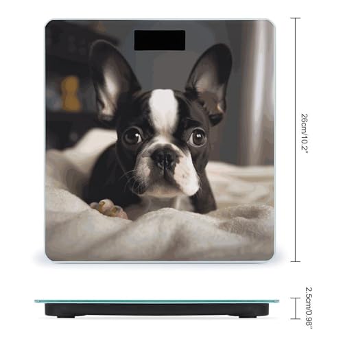 Báscula digital para baño con diseño Boston Terrier miniatura 2