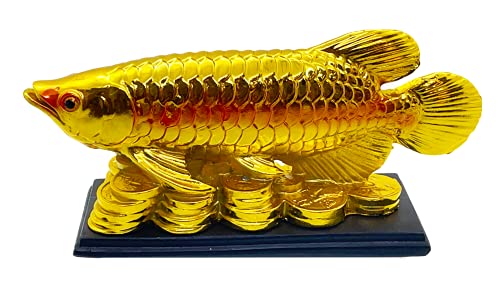 Image of Fengshui Exclusive Medium Size Polyresin Golden Arowana Fish Showpiece for Office Decor, Home Decoration (AF-2559)