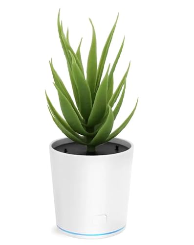 Smart RG Home Car Desktop Portable Air Purifier - Image 3