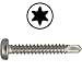 Produktbild D´s Items® | Bohrschrauben mit Flachkopf u. Innensechsrund-Antrieb (TORX) für Weichmetalle (z.B. Aluminium) - 3,9x22 - DIN 7504 (Form M) - Edelstahl A2 - [100 Stück] - | V2A Schnellbauschrauben