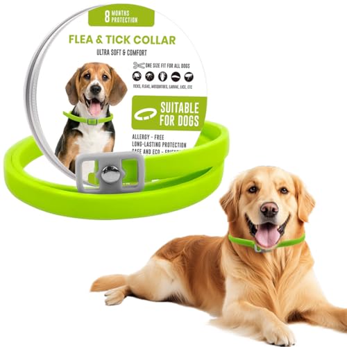 KOQAIIZ Collar Antiparasitario para Perros, Repelente de Pulgas para Perros, Collares Anticarrapatas para Perros,Antipulgas para Perros, Prevención de 8 Meses