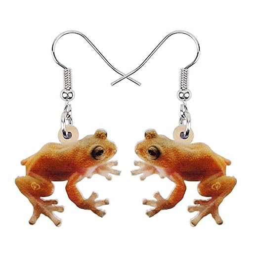 DUOWEI Brincos de sapo sentado fofos joias penduradas de acrílico para mulheres adolescentes meninas crianças presentes estéticos, Acrílico Aço inoxidável, arenito