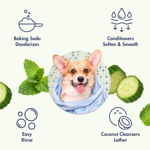 Arm & Hammer 2-in-1 Dog Shampoo and Conditioner, Cucumber Mint, 20 Fl Oz - image 4