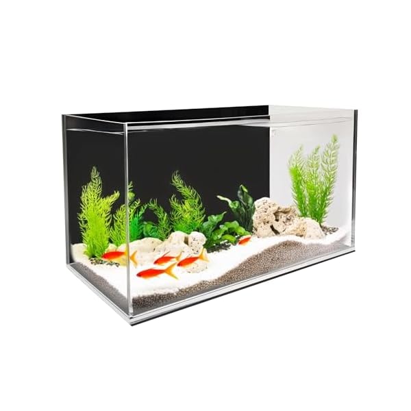 FixtureDisplays-16-X-79-X-98-Premium-Clear-Acrylic-Fish-Tank-5-Gallon-Aquarium-Terrarium-21997-NPF FixtureDisplays-16-X-79-X-98-Premium-Clear-Acrylic-Fish-Tank-5-Gallon-Aquarium-Terrarium-21997-NPF