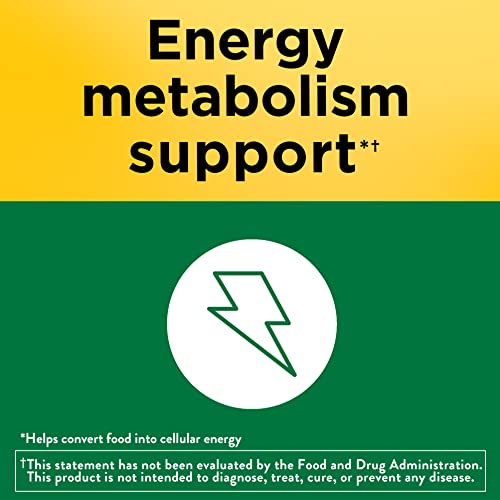 image for Nature Made Vitamin B1 100 mg, Dietary Supplement for Energy Metabolis