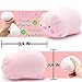 Squishy Pig Stress Balls for Kids Splash Piggy Squishy Ball Fidget Toys (1PCS) Animal Stress Toys Squeeze Dough Ball Stress Relief Toy Autism Sensory Toys for Autistic Children Party Favors