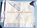 Delux White Master Mason Apron Embroidered White Silky threads