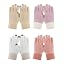 Pink / White / Khaki / Purple Pack