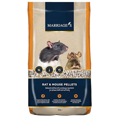 How long will a mouse live without food How long will a mouse live without food