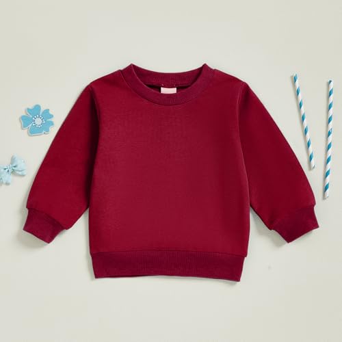 Mubineo Toddler Baby Boy Clothes Girl Basic Plain Sweatshirt Long Sleeve Shirts Kids Fall Winter Sweat Shirt Tops4
