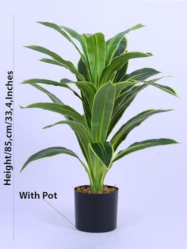 Image of ARICK DECOR 3Ft Artificial Variegated Dracaena Plant in Pot, 3ft Realistic Faux Song of India Tree, White Green Peacock Shaped Floor Plant for Home & Office