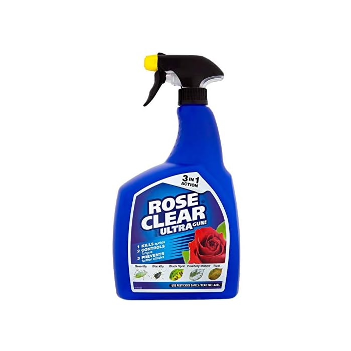 Buy Bargainstore RoseClear 017681 Ultra Gun! 1L Rose Insect Killer