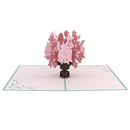 Lovepop-Everyday-10-Pack-3D-popup-greeting-card-gifts