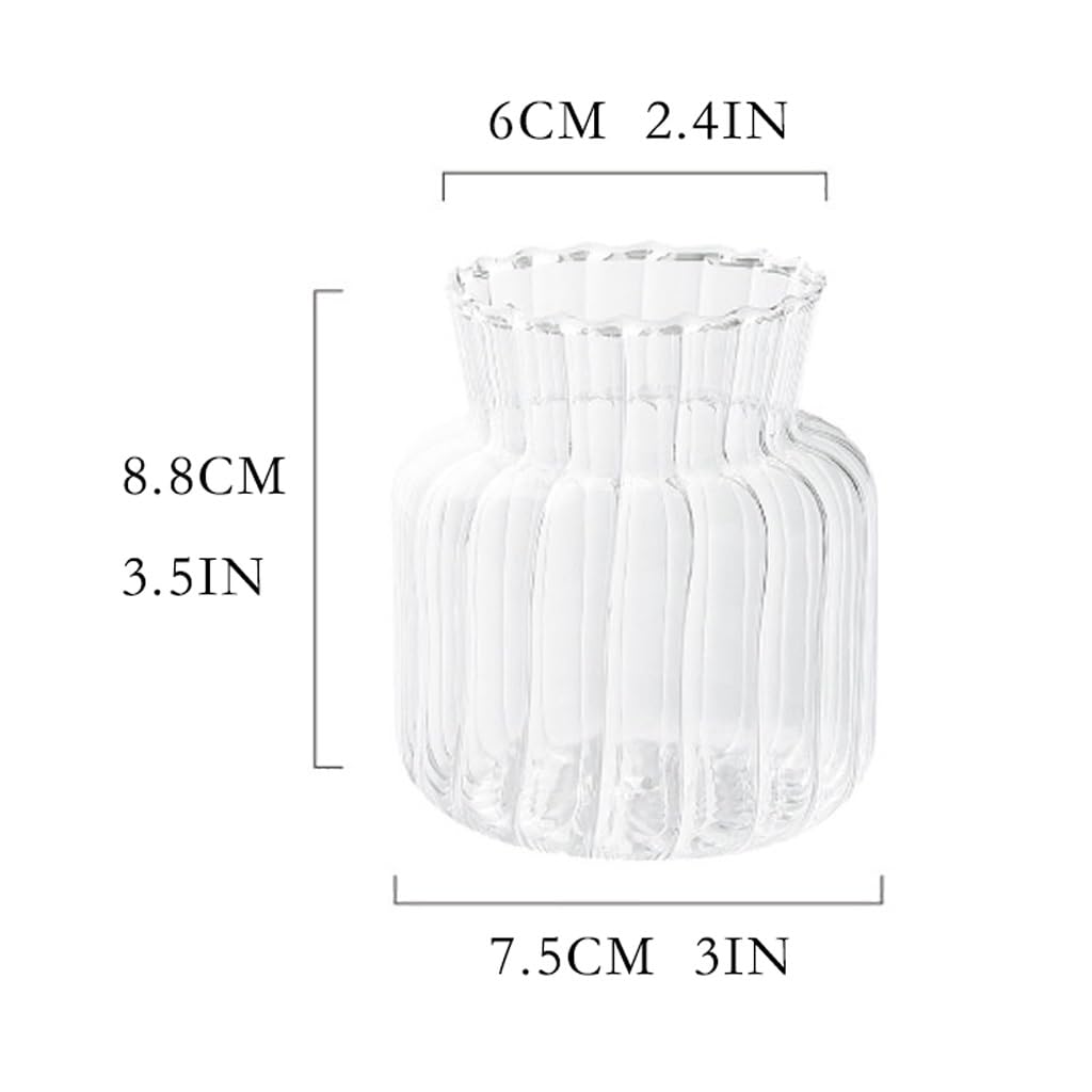 Accueil Vases Vase en Verre Transparent Bureau Simple décoration Fleur séchée Petite Dispositif Maison Salon hydroponique Pot de Décor intérieur