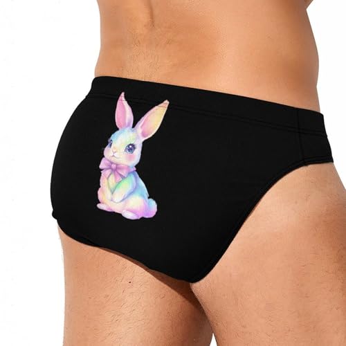 Cute Pastel Rainbow Easter Bunny Printed Swim Briefs for Men Sexy Bikini Swimwear Elastic Beach Trunks Bathing Suit4