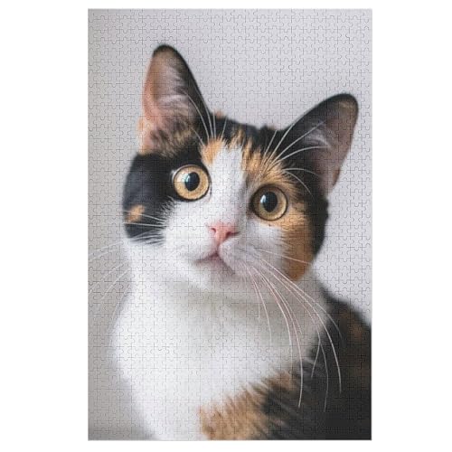 L   pY NG[VAjObY ϋv l jp D ߋ t@[Xg`CX ؐ  Ǐ葡蕨 av[g