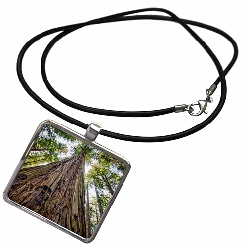 3dRose Danita Delimont - Trees - Roosevelt Grove, Humboldt Redwoods State Park, California - Necklace With Rectangle Pendant (ncl_208647)