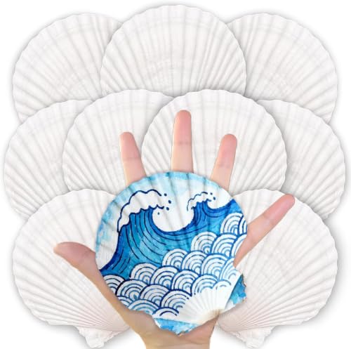 10PCS Natural Scallop Shells for Crafts 4-5 in White Sea Shells DIY Decor
