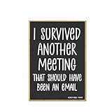Honey Dew Gifts, I Survived Another Meeting That Should Have Been an Email, 2.5 Inch by 3.5 Inch, Locker Decorations, Refrigerator Magnets, Funny Decorative Magnets, 75825