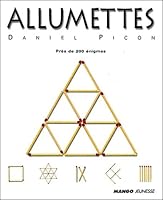 Allumettes : Près de 200 énigmes 2740413807 Book Cover