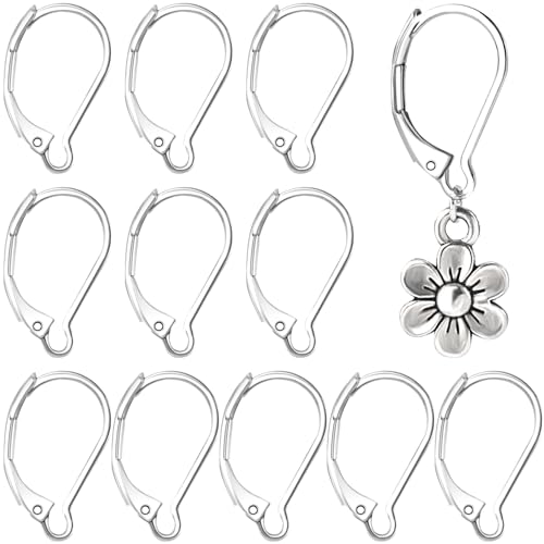 Alpinleux 12 Pcs Leverback Earring Hooks, Stainless Steel Clasp Hoop, Hypoallergenic Dangles Earring Hooks, French Ear Wire Findings for Women, DIY Crafts, Jewelry Making (Silver)