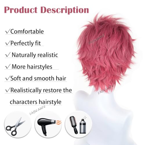Image of LABEAUTE Unsex Cosplay Wig for Men Woman for Short Straight Cosplay Wig with Bangs for Anime Heat Resistant Hair for Party and Halloween (Short Pink Wig)