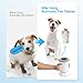 ALL FOR PAWS Automatischer Pfotenreiniger, 2 Reinigungsgeschwindigkeiten, Weiche Borsten, Abnehmbar, USB Aufladbar für Kleine und Mittlere Hunde