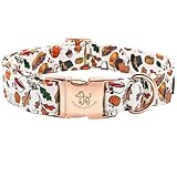Elegant little tail Thanksgiving Dog Collar, Fall Turkey Print Pet Collar Durable Dog Collars Male or Female Holiday Pet Gift Adjustable Dog Collar for X-Small Dogs