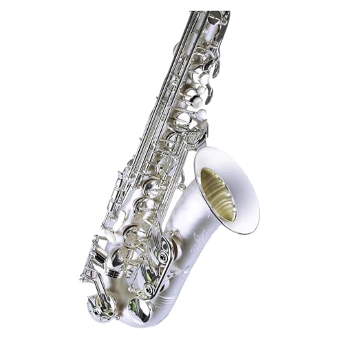 プロ仕様アルトサックス 銀メッキの真鍮とナイロン製のマウスピースを備えたEキーのプロフェッショナルアルトEbサックス