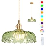 Battery Operated Pendant Light,Vintage Light Fixtures RGB Light Bulb 2500mAh 9.4in Green Modern Chandelier with Remote Control Wireless Adjustable Rechargeable Chandelier for Kitchen Island 1Light