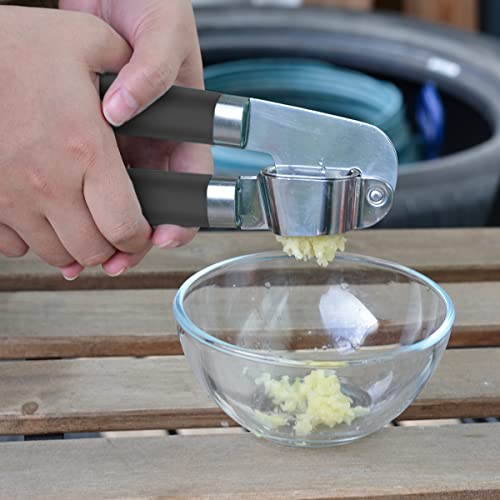 Garlic Press Stainless Steel Garlic Mincer with Ergonomic Handle Ginger Crusher Tool Multipurpose Kitchen Utensils